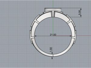 Man ring 1876 3D-printmodel