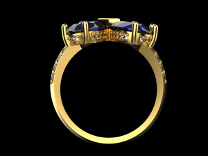 Ring 1890 3D Print Model