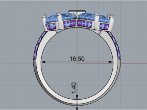 Ring 1890 3D Print Model