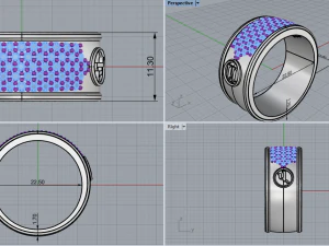 अंगूठी 1915 3D प्रिंट मॉडल