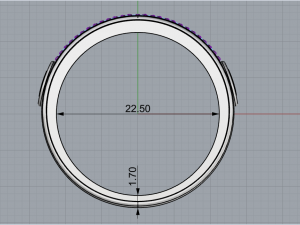 Ring 1915 Modelo de Impressão 3D