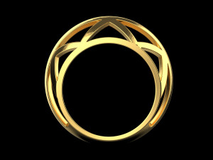 Ring 1919 3D 打印模型