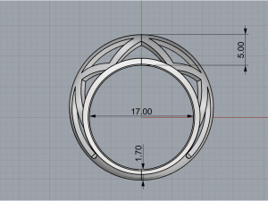 Ring 1919 3D 打印模型