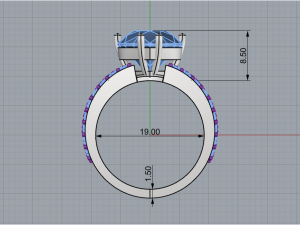 Ring 1921 3D-printmodel
