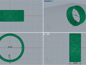 Ring 65378 3D Print Model
