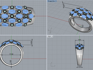 Ring 1924 Model do druku 3D