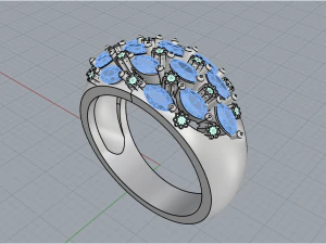 Ring 1924 3D Print Model