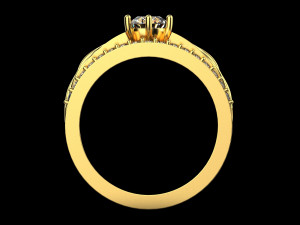 Ring 1952 3D-Druckmodell