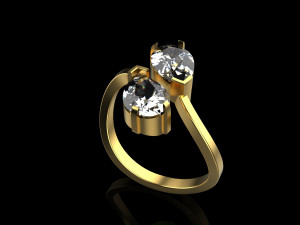 Ring 1955 3D-Druckmodell