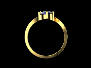 Ring 1955 3D Print Model
