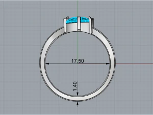 Ring 1955 3D Print Model