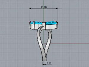 Ring 1955 3D Print Model