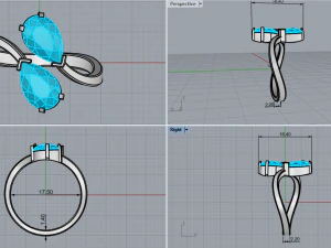 Ring 1955 3D Print Model