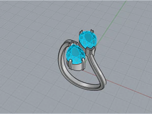 Ring 1955 3D Print Model