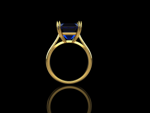 Ring 723 3Dプリントモデル