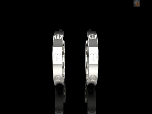 Earrings 723 013 3D Print Model