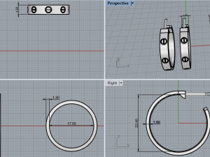 Earrings 723 013 3D Print Model