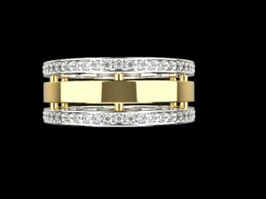 Ring 738 005 3D Print Model
