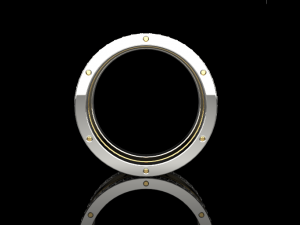 Ring 738 005 3D Druckmodell