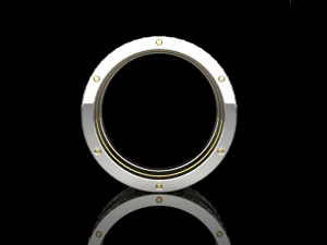 Ring 738 005 3D Print Model