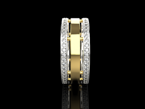 Ring 738 005 3D Druckmodell