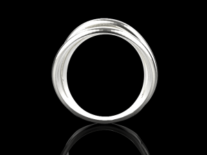 Ring 739 005 3Dプリントモデル