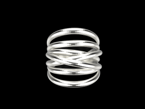 Ring 739 005 3Dプリントモデル