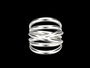 Ring 739 005 3D Print Model