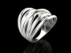 Ring 739 005 3Dプリントモデル