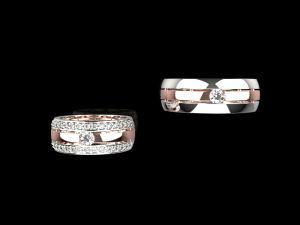 Wedding Rings 755 007 3D Print Model