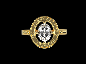 Ring 759 002 3D Print Model