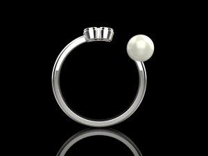 Ring 1536 3D Print Model