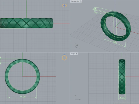 Ring 66901 3D Print Model