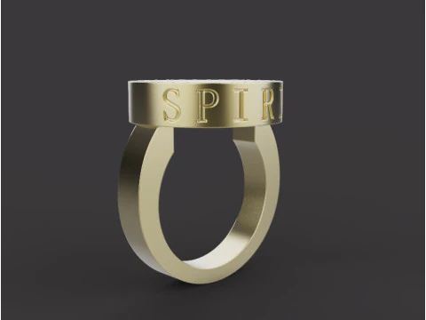 Ring 67379 3D Print Model