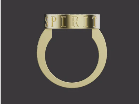 Ring 67379 3D Print Model