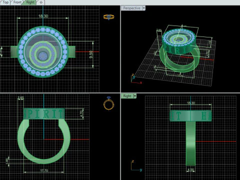 Ring 67379 3D Print Model
