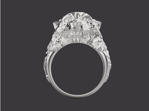 Ring Wolf 17050 3D Принт Модель