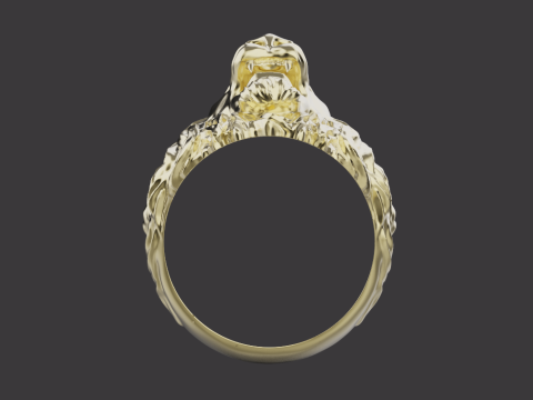 Ring Lion 30675 3D 打印模型