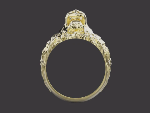 Ring Lion 30675 3D Print Model