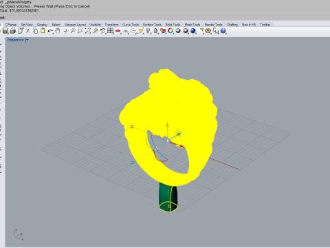 Ring Lion 30675 3D 打印模型