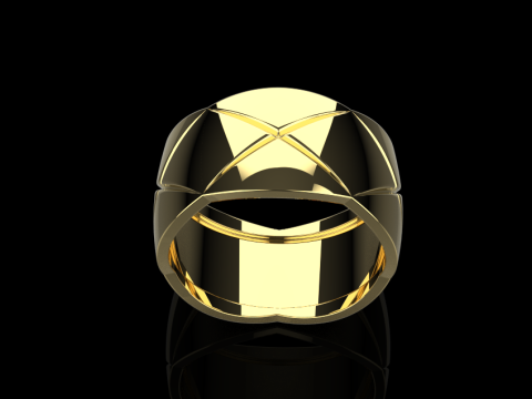 Ring 66117 Model 3D