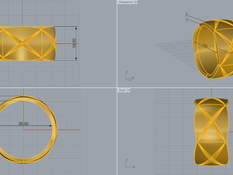 Ring 66117 Model 3D