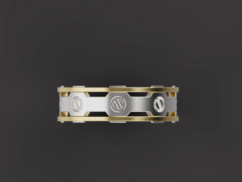 Ring 80000 3D Model