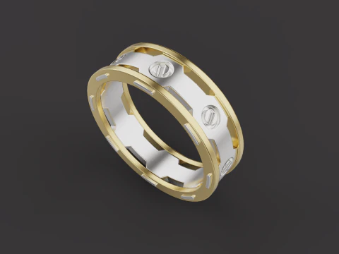 Ring 80000 3D Model