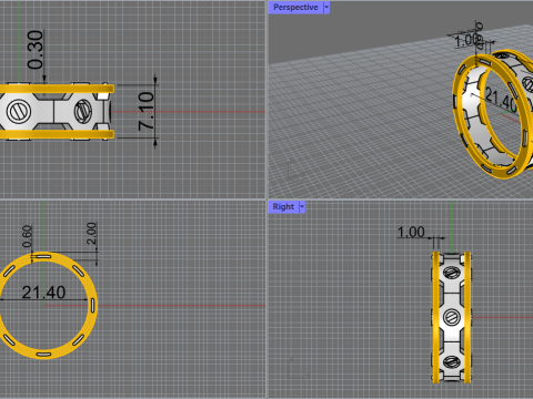 Ring 80000 3D 模型