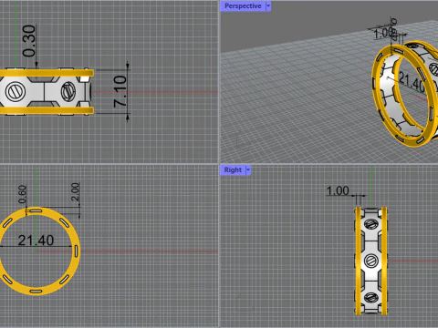Ring 80000 3D Model