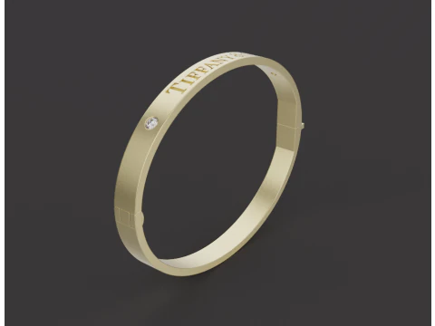 Bracelet 75115 3D Model