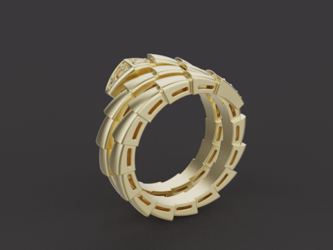Serpent Ring 17080 3D मॉडल