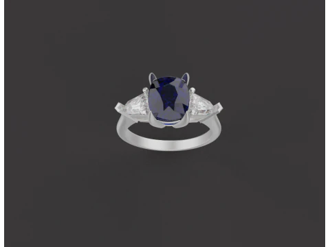 Ring 67125 3D Model