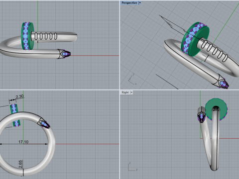 Nail Ring 67072 3D Model